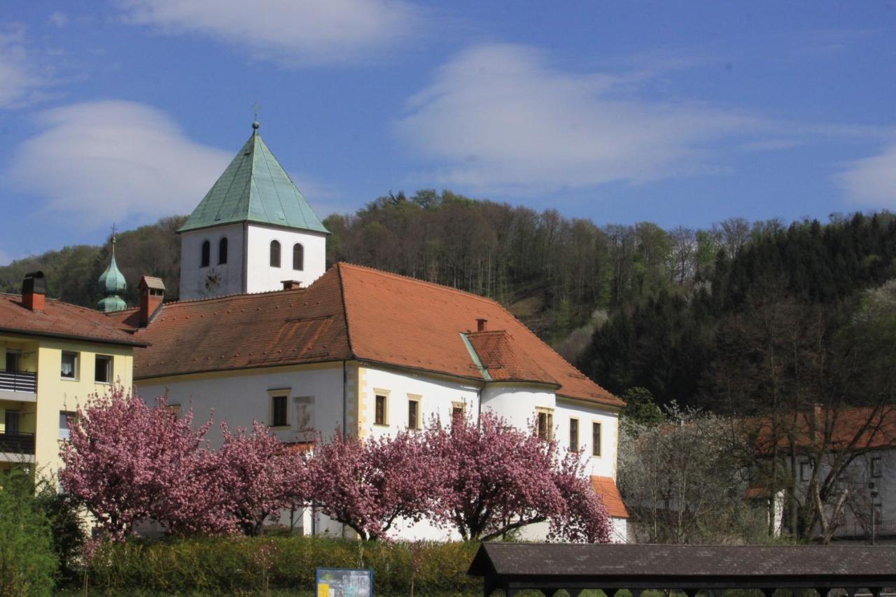 Hotel Na Kopitarjevi Laško Exteriér fotografie