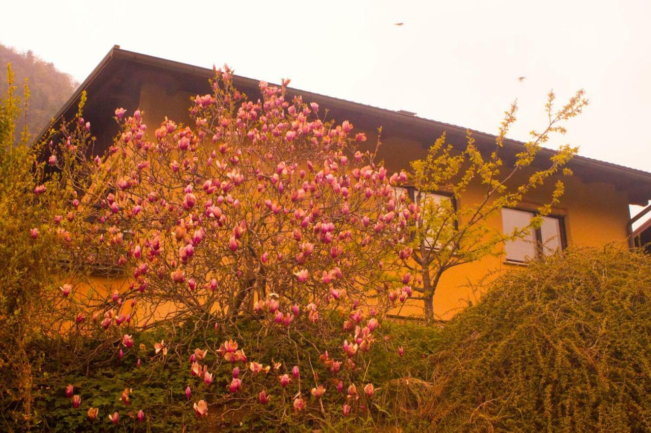 Hotel Na Kopitarjevi Laško Exteriér fotografie